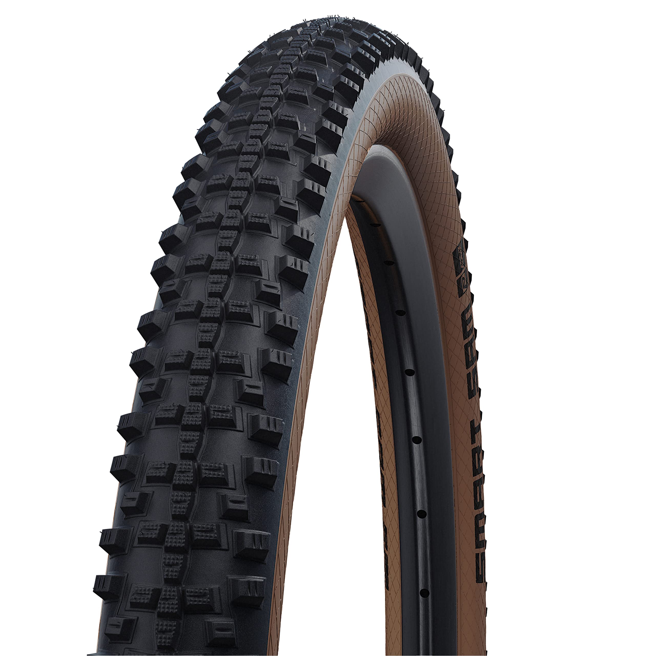 Amazon.com : Schwalbe Smart Sam Performance DD RaceGuard Folding